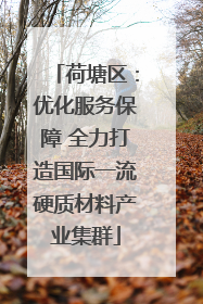 荷塘区：优化服务保障 全力打造国际一流硬质材料产业集群