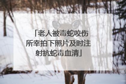 老人被毒蛇咬伤 所幸拍下照片及时注射抗蛇毒血清
