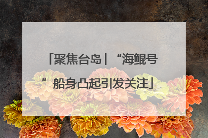 聚焦台岛│“海鲲号”船身凸起引发关注