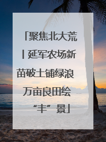 聚焦北大荒丨延军农场新苗破土铺绿浪 万亩良田绘“丰”景