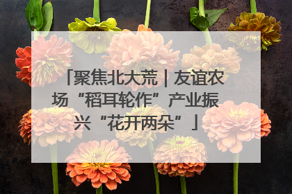 聚焦北大荒｜友谊农场“稻耳轮作”产业振兴“花开两朵”