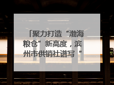 聚力打造“渤海粮仓”新高度，滨州市供销社谱写“三夏”丰收乐章