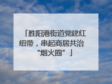 胜阳港街道党建红纽带，串起商居共治 “烟火圈”