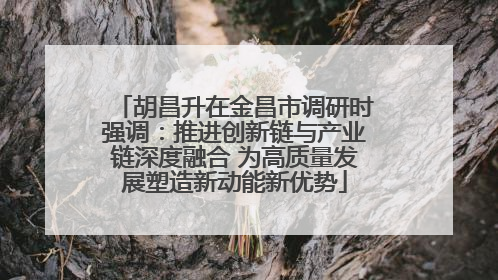 胡昌升在金昌市调研时强调：推进创新链与产业链深度融合 为高质量发展塑造新动能新优势