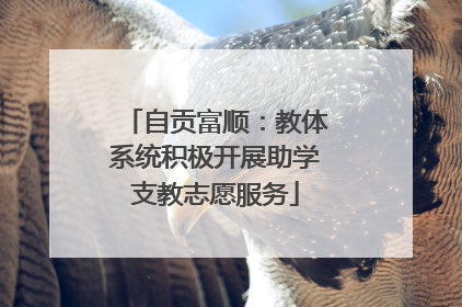 自贡富顺：教体系统积极开展助学支教志愿服务