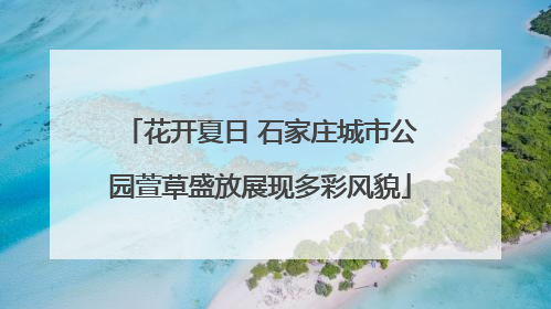 花开夏日 石家庄城市公园萱草盛放展现多彩风貌