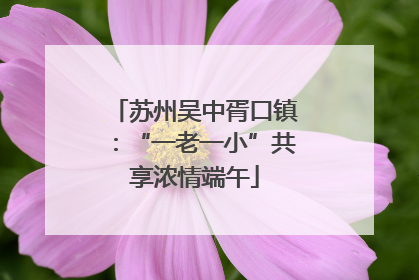 苏州吴中胥口镇：“一老一小”共享浓情端午