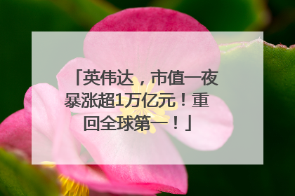 英伟达，市值一夜暴涨超1万亿元！重回全球第一！