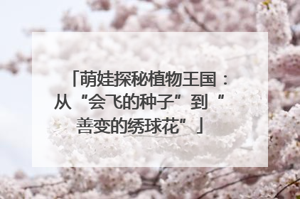 萌娃探秘植物王国：从“会飞的种子”到“善变的绣球花”