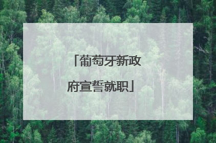 葡萄牙新政府宣誓就职