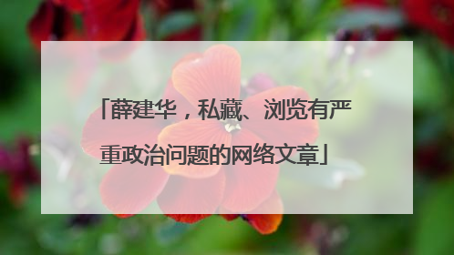 薛建华，私藏、浏览有严重政治问题的网络文章