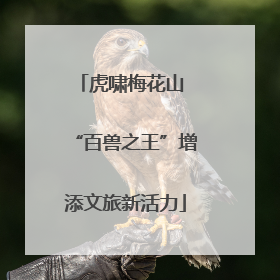 虎啸梅花山 “百兽之王”增添文旅新活力