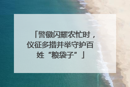 警徽闪耀农忙时，仪征多措并举守护百姓“粮袋子”