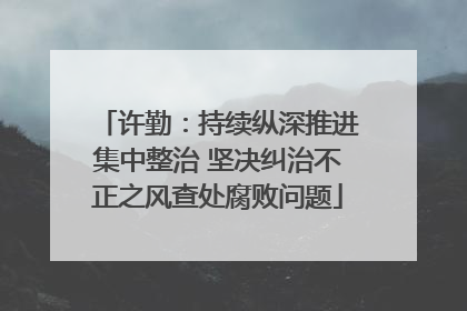 许勤：持续纵深推进集中整治 坚决纠治不正之风查处腐败问题