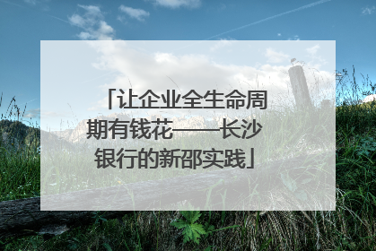 让企业全生命周期有钱花——长沙银行的新邵实践