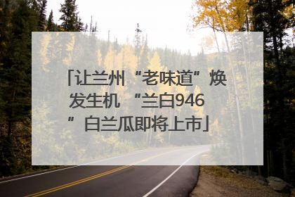 让兰州“老味道”焕发生机 “兰白946”白兰瓜即将上市