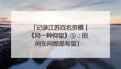 记录江苏百名劳模｜《同一种仰望》⑤：田间车间都是希望