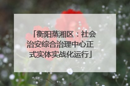 衡阳蒸湘区：社会治安综合治理中心正式实体实战化运行