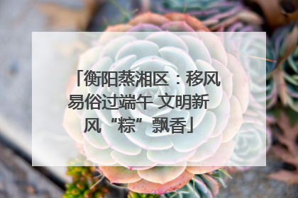 衡阳蒸湘区：移风易俗过端午 文明新风“粽”飘香