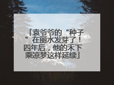 袁爷爷的“种子”在丽水发芽了！四年后，他的禾下乘凉梦这样延续