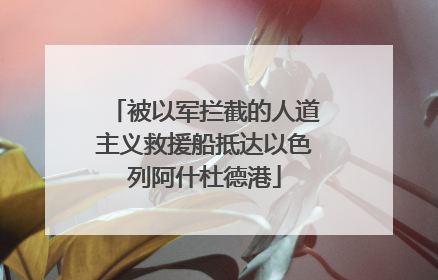 被以军拦截的人道主义救援船抵达以色列阿什杜德港