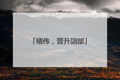 褚伟，晋升副部