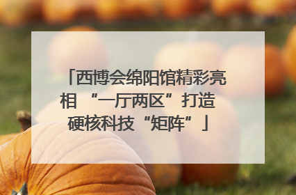 西博会绵阳馆精彩亮相 “一厅两区”打造硬核科技“矩阵”