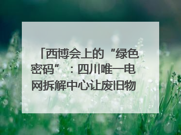 西博会上的“绿色密码”：四川唯一电网拆解中心让废旧物资“重生”｜西博寻“新”记