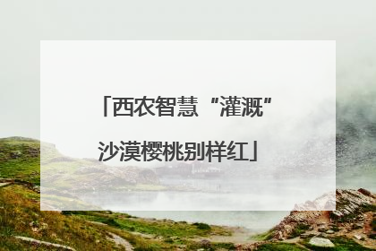 西农智慧“灌溉” 沙漠樱桃别样红
