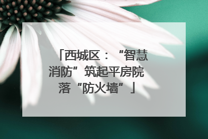 西城区：“智慧消防”筑起平房院落“防火墙”