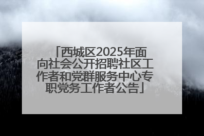 西城区2025年面向社会公开招聘社区工作者和党群服务中心专职党务工作者公告