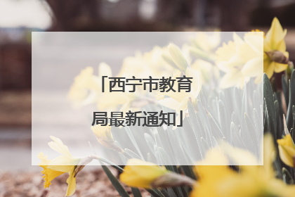 西宁市教育局最新通知