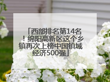 西部排名第14名！绵阳高新区这个乡镇再次上榜中国镇域经济500强