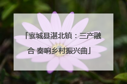 襄城县湛北镇：三产融合 奏响乡村振兴曲