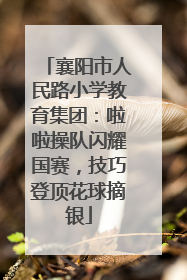 襄阳市人民路小学教育集团：啦啦操队闪耀国赛，技巧登顶花球摘银