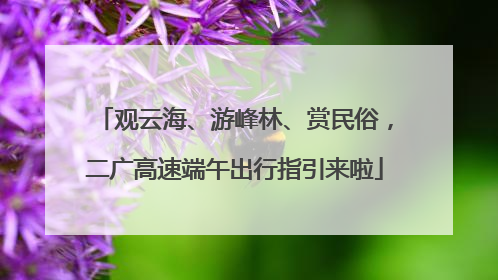 观云海、游峰林、赏民俗，二广高速端午出行指引来啦