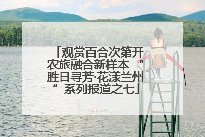 观赏百合次第开 农旅融合新样本 “胜日寻芳·花漾兰州”系列报道之七