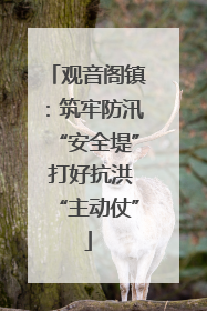 观音阁镇：筑牢防汛“安全堤” 打好抗洪“主动仗”