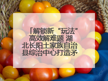 解锁新“玩法” 高效解难题 湖北长阳土家族自治县综治中心打造矛盾纠纷调处“终点站”