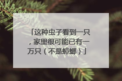这种虫子看到一只，家里很可能已有一万只（不是蟑螂）