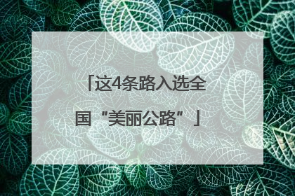 这4条路入选全国“美丽公路”