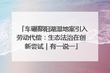 车碾鄱阳湖湿地案引入劳动代偿：生态法治在创新尝试｜有一说一