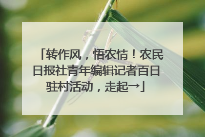 转作风，悟农情！农民日报社青年编辑记者百日驻村活动，走起→