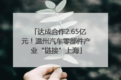 达成合作2.65亿元！温州汽车零部件产业“链接”上海