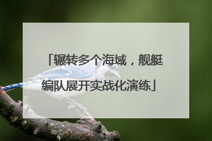 辗转多个海域，舰艇编队展开实战化演练