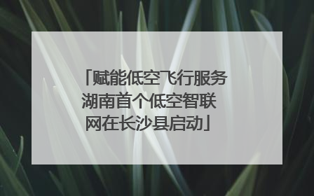 赋能低空飞行服务 湖南首个低空智联网在长沙县启动