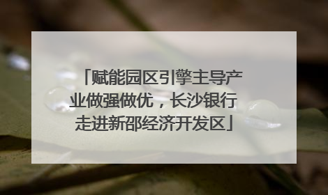 赋能园区引擎主导产业做强做优，长沙银行走进新邵经济开发区