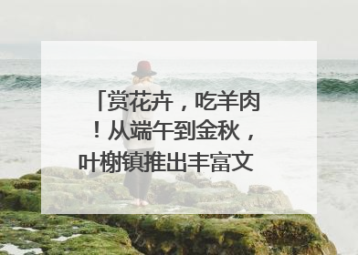 赏花卉，吃羊肉！从端午到金秋，叶榭镇推出丰富文旅活动邀您爽玩