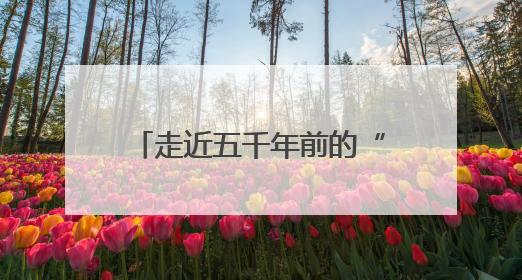 走近五千年前的“三室一厅”，大河村遗址博物馆将开