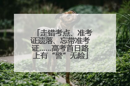 走错考点、准考证遗落、忘带准考证……高考首日路上有“警”无险